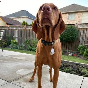 Meet your Posher, Vanessa